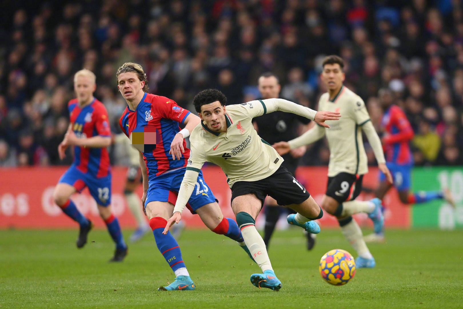 至整个欧洲 至整个欧洲